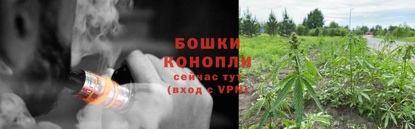 первитин Козельск