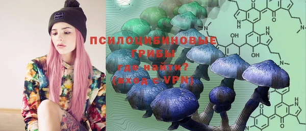 дживик Козловка
