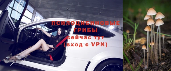 дживик Козловка