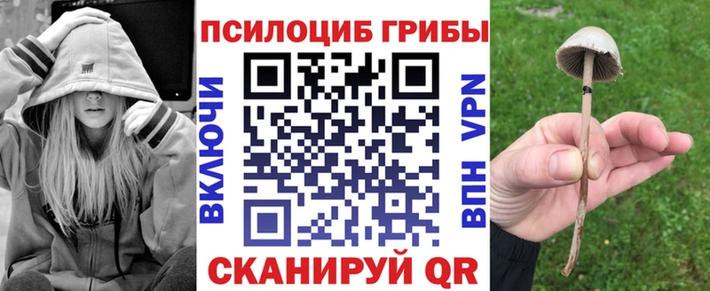 Купить где  Вязники  Галлюциногенные грибы мухоморы 